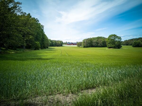 Bild vergrößern: rural_landscape