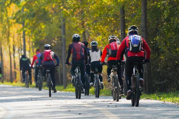 Bild vergrößern: fahrradtour